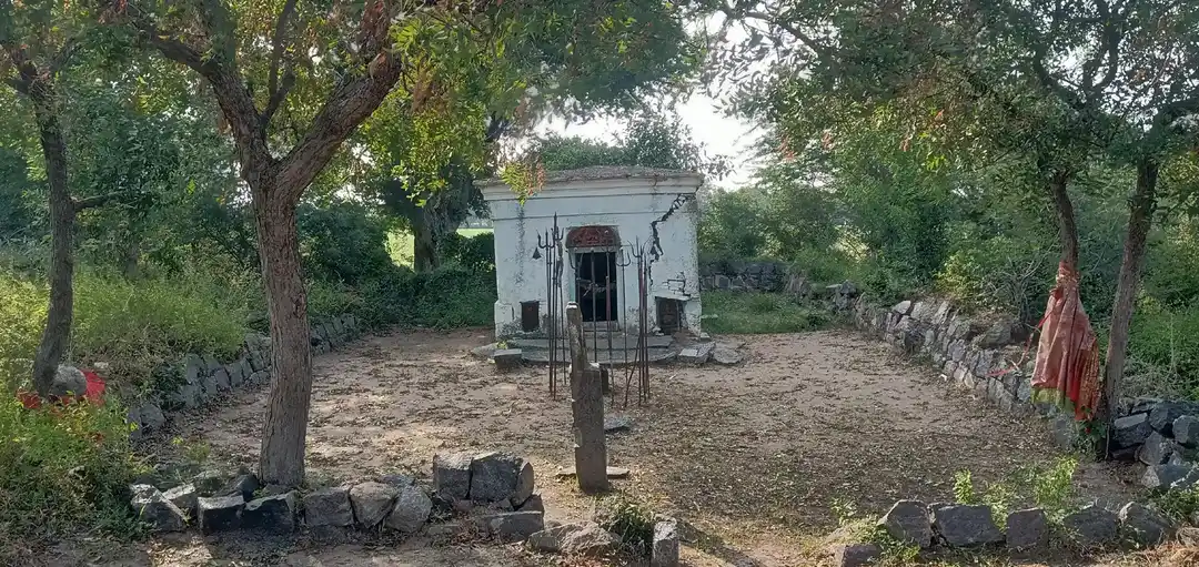 Arulmigu Pidari Temple, Ninnaiyur - 606305 அருள்மிகு பிடாரி திருக்கோயில், Ninnaiyur - 606305, Kallakurichi - Ancient Temple Architecture and History Image 3