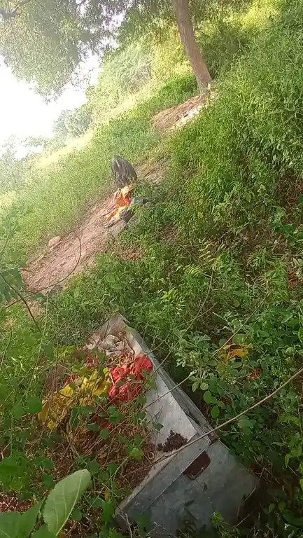 Arulmigu Pidari Temple, Nonaiyavaadi - 606106 Arulmigu Pidari Temple, Nonaiyavaadi - 606106, Kallakurichi - Ancient Temple Architecture and History Image 2