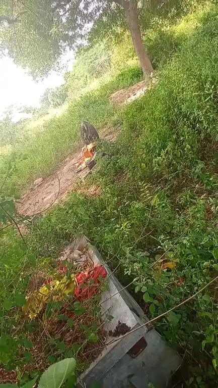 Arulmigu Pidari Temple, Nonaiyavaadi - 606106 Arulmigu Pidari Temple, Nonaiyavaadi - 606106, Kallakurichi - Ancient Temple Architecture and History Image 4