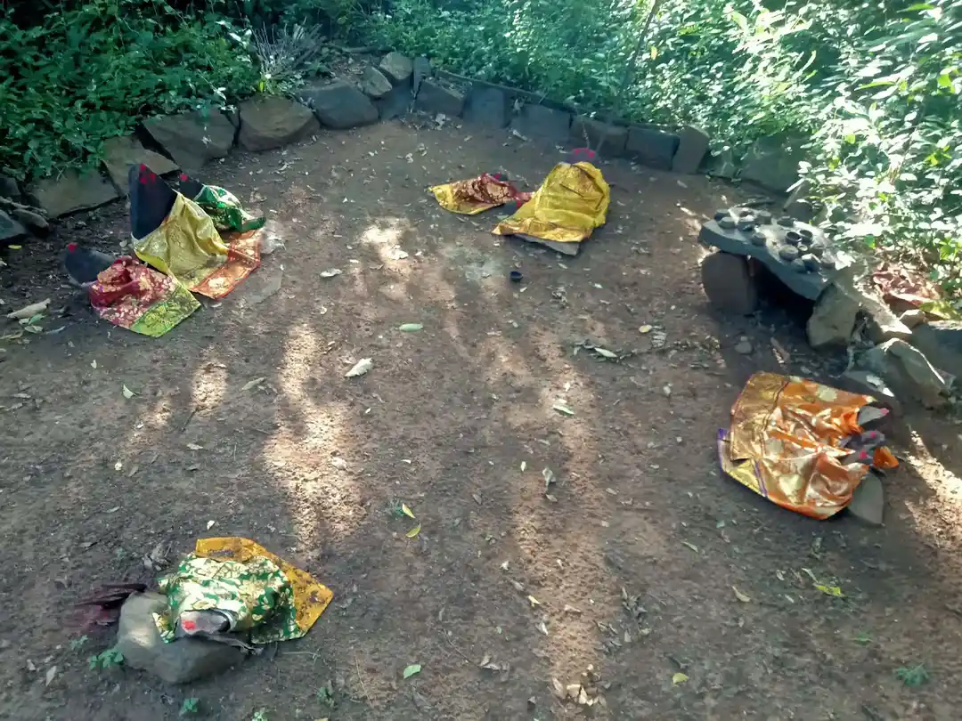Arulmigu Pidari Temple, Pallippattu - 606206