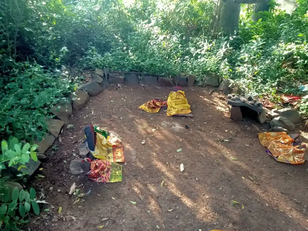 Arulmigu Pidari Temple, Pallippattu - 606206 அருள்மிகு பிடாரி, அய்யனார் திருக்கோயில், Pallippattu - 606206, Kallakurichi - Ancient Temple Architecture and History Image 3