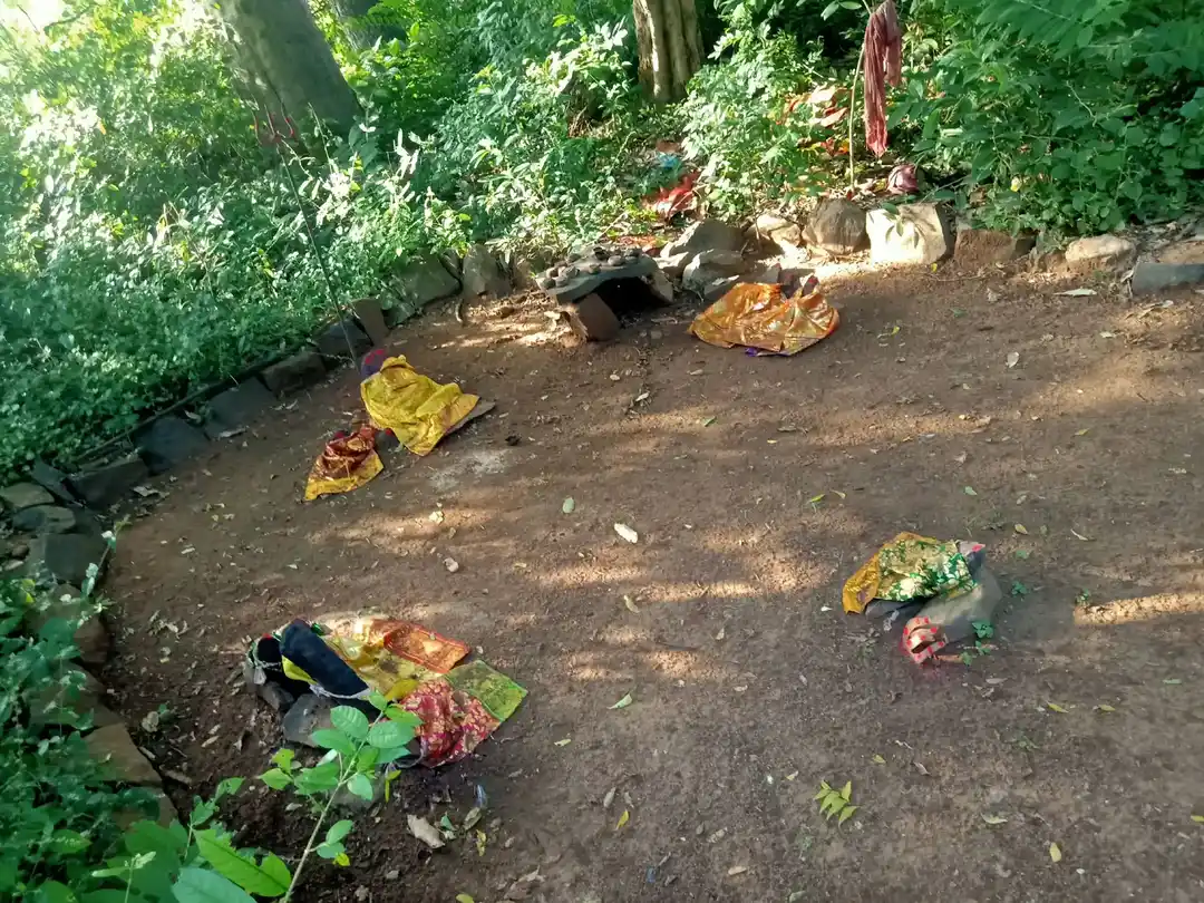 Arulmigu Pidari Temple, Pallippattu - 606206 அருள்மிகு பிடாரி, அய்யனார் திருக்கோயில், Pallippattu - 606206, Kallakurichi - Ancient Temple Architecture and History Image 4