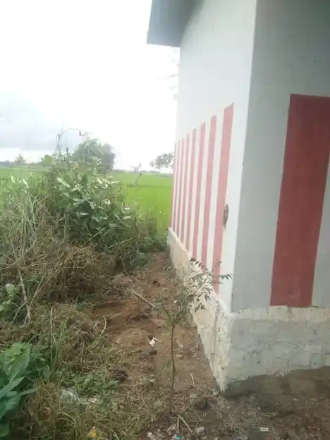 Arulmigu Pidari Temple, Panayapuram - 620013 Arulmigu Pidari Temple, Panayapuram - 620013, Thiruchirappalli - Ancient Temple Architecture and History Image 2