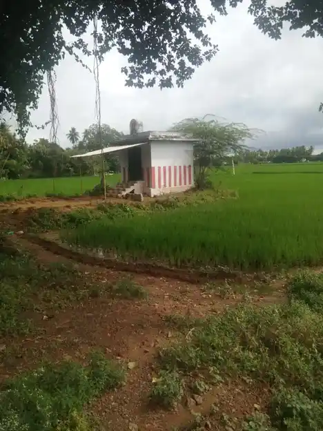 Arulmigu Pidari Temple, Panayapuram - 620013 Arulmigu Pidari Temple, Panayapuram - 620013, Thiruchirappalli - Ancient Temple Architecture and History Image 3
