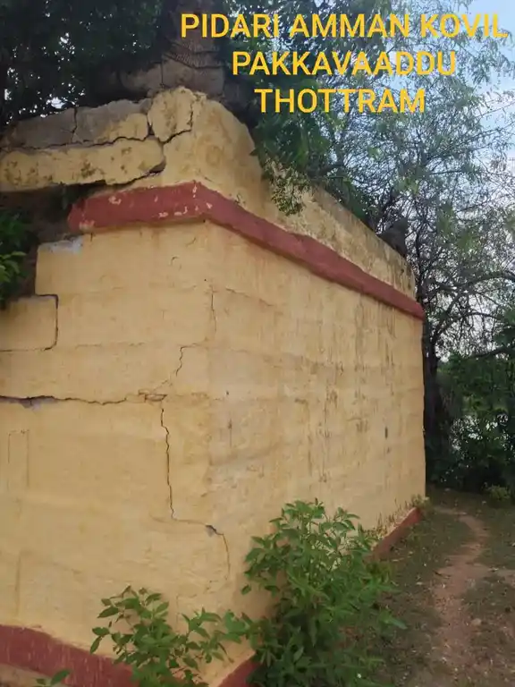 Arulmigu Pidari Temple, Parambur, Illupur Taluk - 622104 அருள்மிகு பிடாரியம்மன் திருக்கோயில், பரம்பூர், இலுப்பூர் வட்டம் - 622104, Pudukkottai - Ancient Temple Architecture and History Image 4