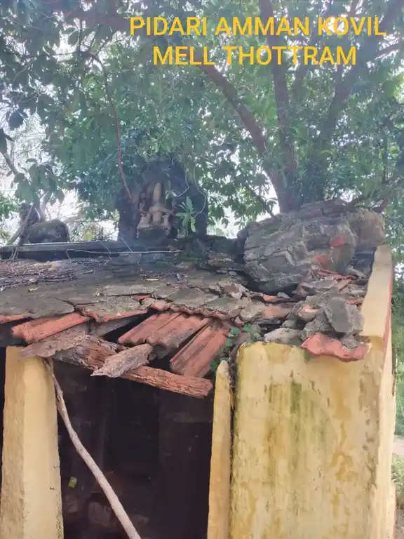 Arulmigu Pidari Temple, Parambur, Illupur Taluk - 622104 அருள்மிகு பிடாரியம்மன் திருக்கோயில், பரம்பூர், இலுப்பூர் வட்டம் - 622104, Pudukkottai - Ancient Temple Architecture and History Image 6