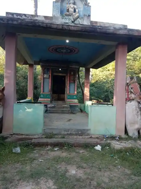 Arulmigu Pidari Temple, Peraiyur, Thirumayam Taluk - 622422 அருள்மிகு பிடாரி திருக்கோயில், பேரையூர், திருமயம் வட்டம் - 622422, Pudukkottai - Ancient Temple Architecture and History Image 2