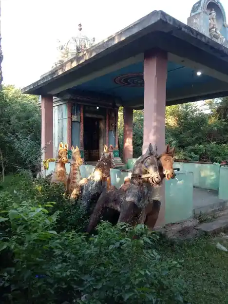 Arulmigu Pidari Temple, Peraiyur, Thirumayam Taluk - 622422 அருள்மிகு பிடாரி திருக்கோயில், பேரையூர், திருமயம் வட்டம் - 622422, Pudukkottai - Ancient Temple Architecture and History Image 3