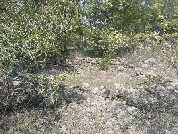 Arulmigu Pidari Temple, Perumalpalaiyam - 621109 Arulmigu Pidari Temple, Perumalpalaiyam - 621109, Perambalur - Ancient Temple Architecture and History Image 3