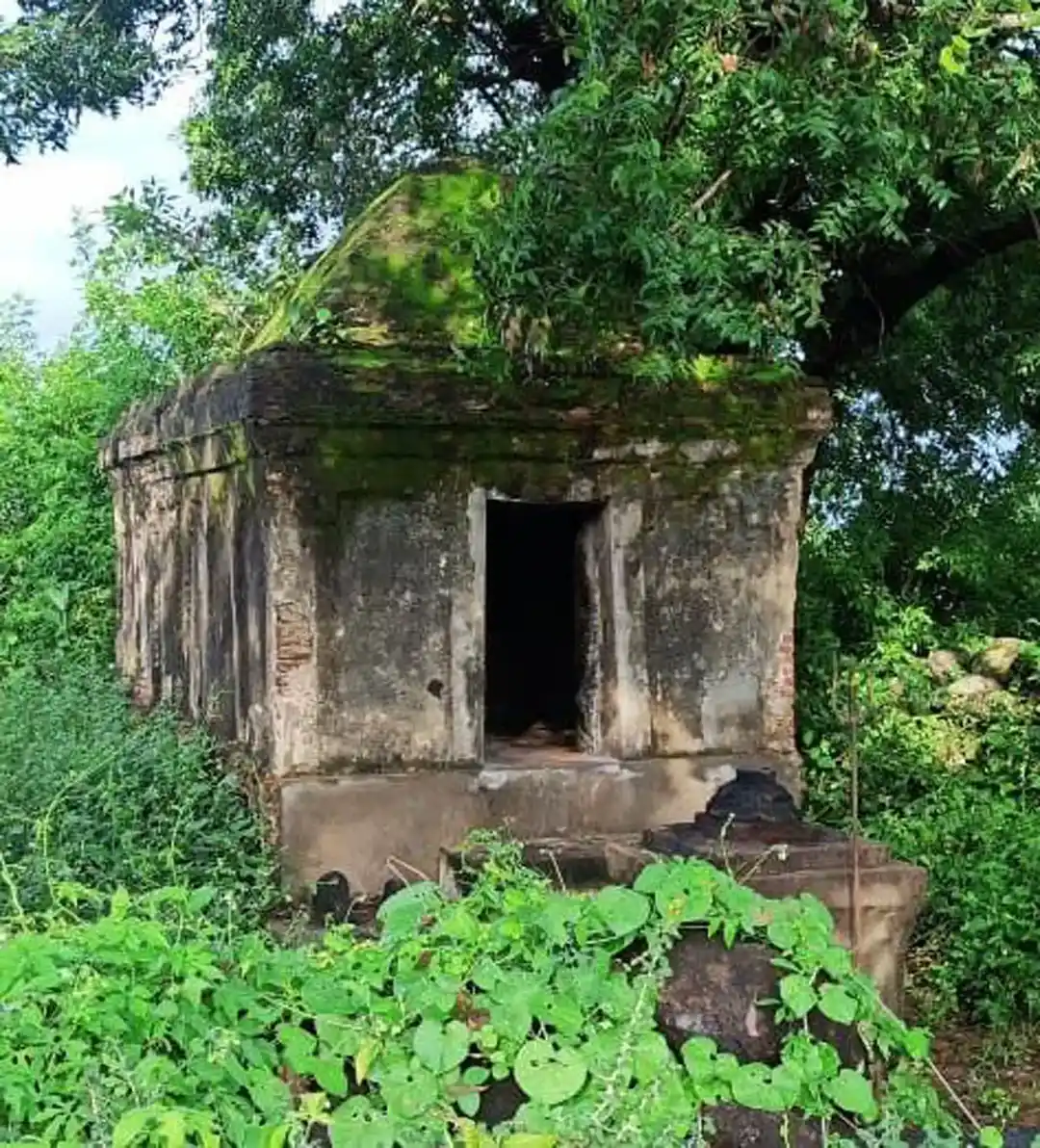 Arulmigu Pidari Temple, Perumangalam - 606204 Arulmigu Pidari Temple, Perumangalam - 606204, Kallakurichi - Ancient Temple Architecture and History Image 3