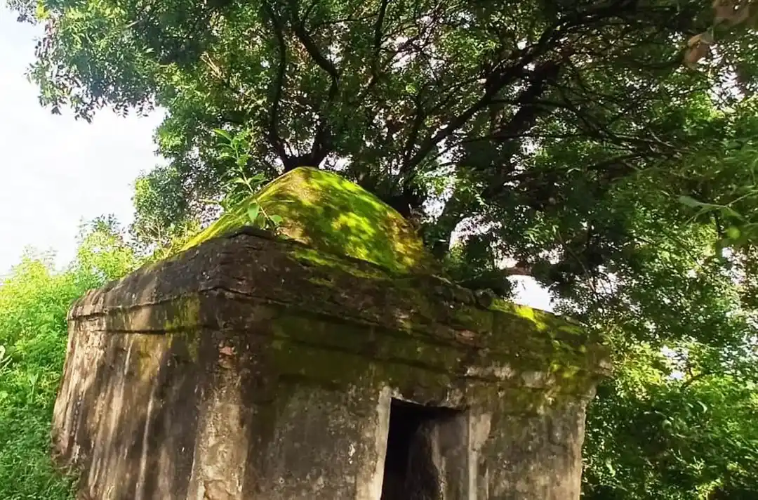 Arulmigu Pidari Temple, Perumangalam - 606204 Arulmigu Pidari Temple, Perumangalam - 606204, Kallakurichi - Ancient Temple Architecture and History Image 4