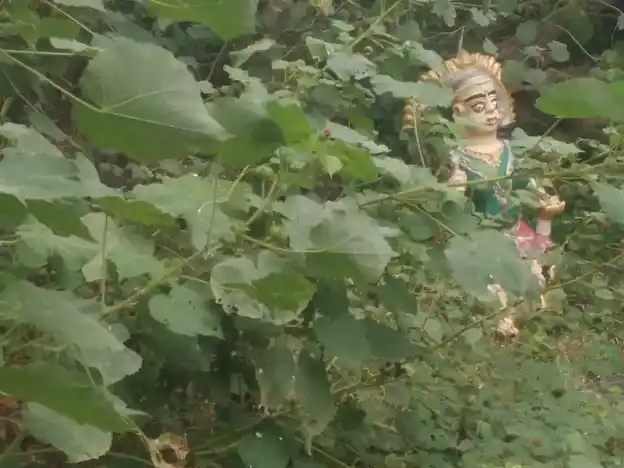 Arulmigu Pidari Temple, Podungapatti - 621305 Arulmigu Pidari Temple, Podungapatti - 621305, Thiruchirappalli - Ancient Temple Architecture and History Image 3