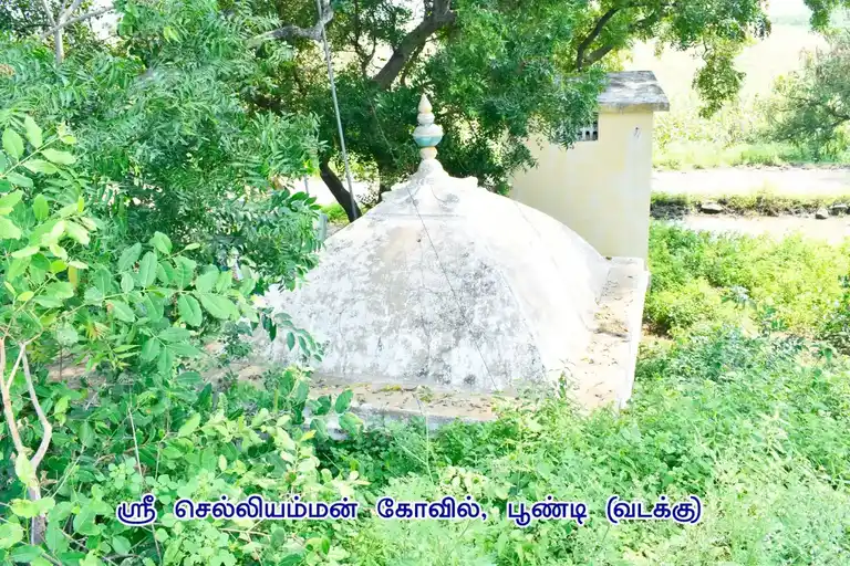 Arulmigu Pidari Temple, Poondi - 606201 அருள்மிகு பிடாரி திருக்கோயில், Poondi - 606201, Kallakurichi - Ancient Temple Architecture and History Image 2