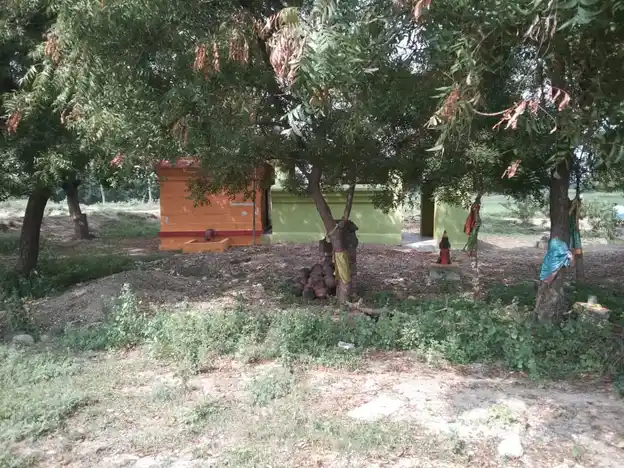 Arulmigu Pidari Temple, Pukkiravaari - 606204 Arulmigu Pidari Temple, Pukkiravaari - 606204, Kallakurichi - Ancient Temple Architecture and History Image 5