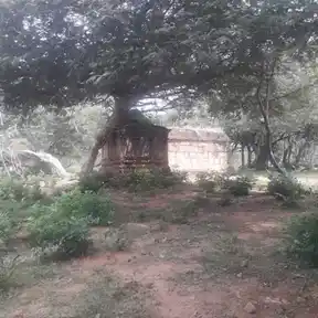 Arulmigu Pidari Temple, Pulavankadu, Pudukkottai Taluk - 622203