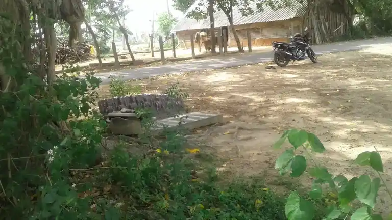 Arulmigu Pidari Temple, Puliyur - 607302 Arulmigu Pidari Temple, Puliyur - 607302, Cuddalore - Ancient Temple Architecture and History Image 2