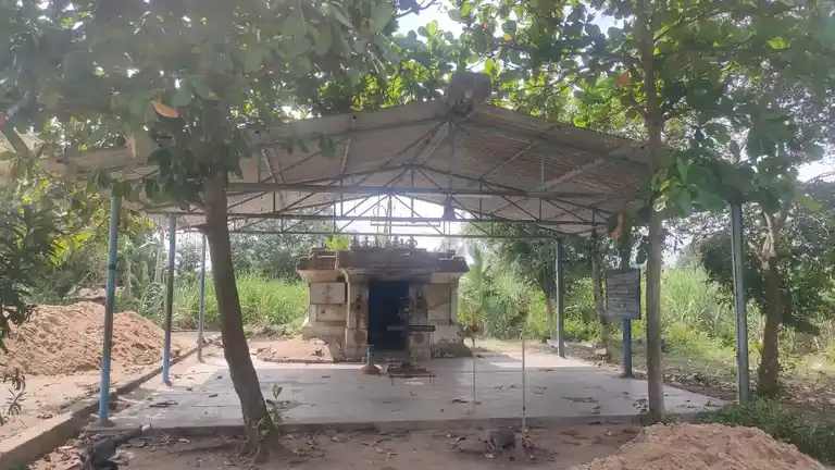 Arulmigu Pidari Temple, Puranasingapalayam - 605107 அருள்மிகு பிடாரி அரசாத்தாள் திருக்கோயில், Puranasingapalayam - 605107, Viluppuram - Ancient Temple Architecture and History Image 3