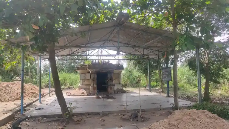 Arulmigu Pidari Temple, Puranasingapalayam - 605107 அருள்மிகு பிடாரி அரசாத்தாள் திருக்கோயில், Puranasingapalayam - 605107, Viluppuram - Ancient Temple Architecture and History Image 7