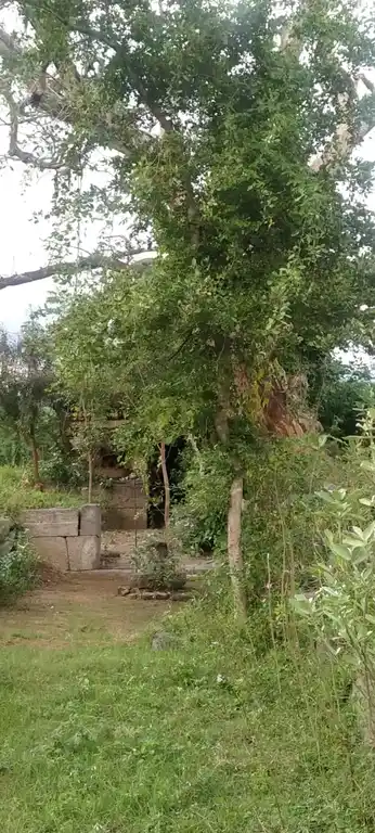 Arulmigu Pidari Temple, Raavuththanallur - 606402 அருள்மிகு பிடாரி திருக்கோயில், Raavuththanallur - 606402, Kallakurichi - Ancient Temple Architecture and History Image 4