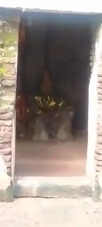 Arulmigu Pidari Temple, Raavuththanallur - 606402 அருள்மிகு பிடாரி திருக்கோயில், Raavuththanallur - 606402, Kallakurichi - Ancient Temple Architecture and History Image 5