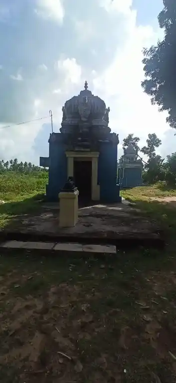 Arulmigu Pidari Temple, Rayanallur - 614715 அருள்மிகு பிடாரியம்மன் திருக்கோயில், Rayanallur - 614715, Thiruvarur - Ancient Temple Architecture and History Image 7