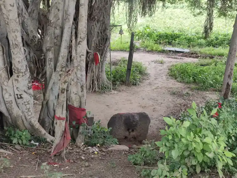 Arulmigu Pidari Temple, Saththapuththur - 606205