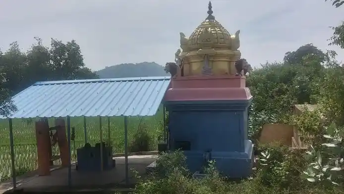 Arulmigu Pidari Temple, Semparampattu - 606401 அருள்மிகு பிடாரி திருக்கோயில், Semparampattu - 606401, Kallakurichi - Ancient Temple Architecture and History Image 4