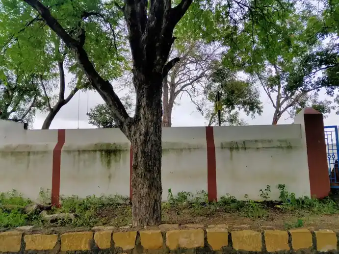 Arulmigu Pidari Temple, Sirukanpur - 621708 Arulmigu Pidari Temple, Sirukanpur - 621708, Perambalur - Ancient Temple Architecture and History Image 3