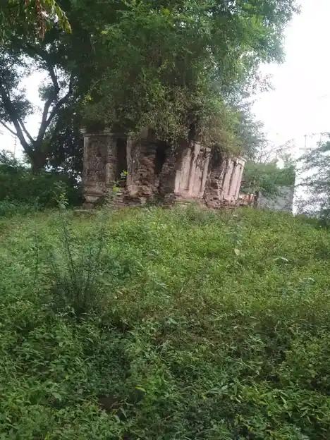 Arulmigu Pidari Temple, Sirunesalur - 606304 Arulmigu Pidari Temple, Sirunesalur - 606304, Cuddalore - Ancient Temple Architecture and History Image 3