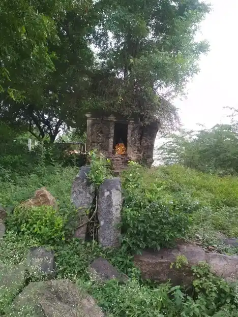 Arulmigu Pidari Temple, Sirunesalur - 606304 Arulmigu Pidari Temple, Sirunesalur - 606304, Cuddalore - Ancient Temple Architecture and History Image 4