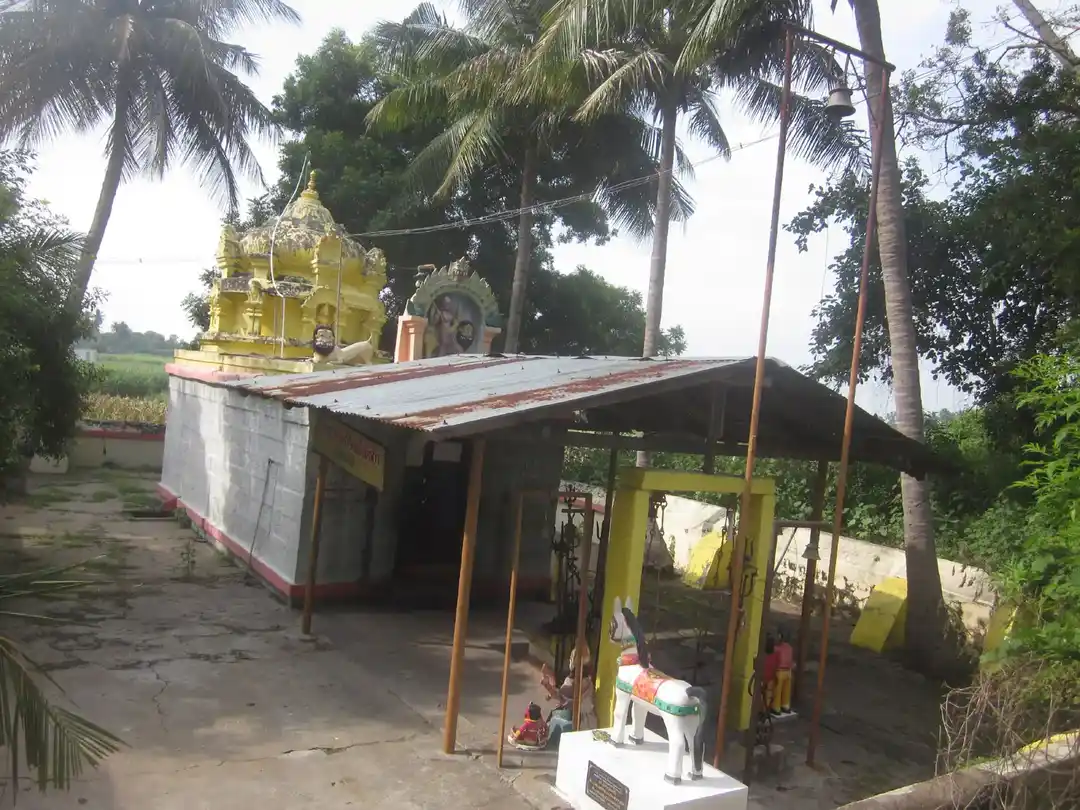 Arulmigu Pidari Temple, Siruvangoor - 606213 அருள்மிகு பிடாரி திருக்கோயில், Siruvangoor - 606213, Kallakurichi - Ancient Temple Architecture and History Image 2