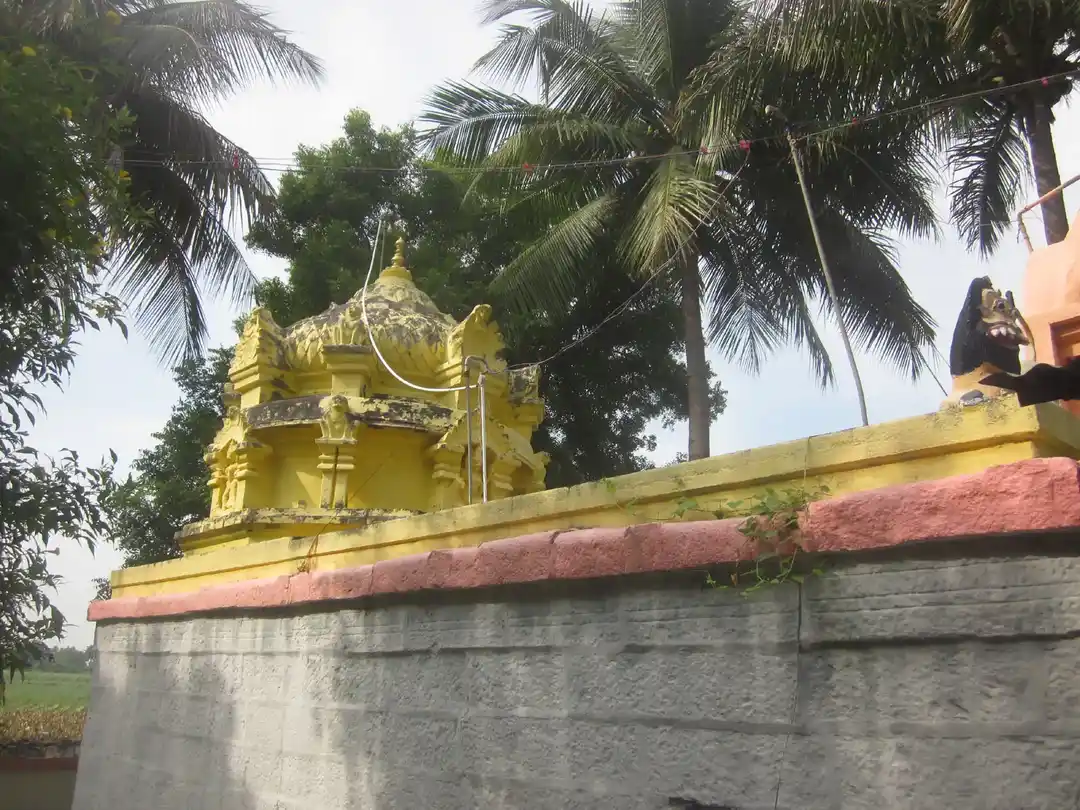 Arulmigu Pidari Temple, Siruvangoor - 606213 அருள்மிகு பிடாரி திருக்கோயில், Siruvangoor - 606213, Kallakurichi - Ancient Temple Architecture and History Image 3
