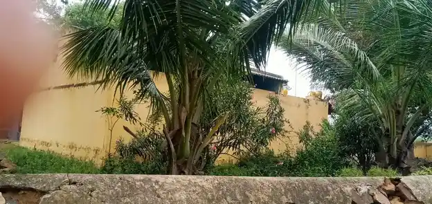 Arulmigu Pidari Temple, Siruvaththur - 606201 அருள்மிகு பிடாரி திருக்கோயில், Siruvaththur - 606201, Kallakurichi - Ancient Temple Architecture and History Image 3