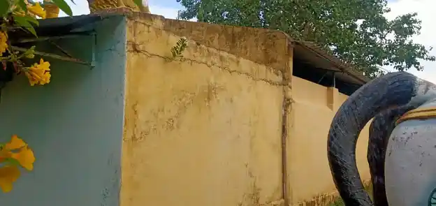 Arulmigu Pidari Temple, Siruvaththur - 606201 அருள்மிகு பிடாரி திருக்கோயில், Siruvaththur - 606201, Kallakurichi - Ancient Temple Architecture and History Image 4