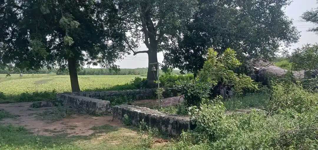 Arulmigu Pidari Temple, Siththaathur - 605701 அருள்மிகு பிடாரி திருக்கோயில், Siththaathur - 605701, Kallakurichi - Ancient Temple Architecture and History Image 2