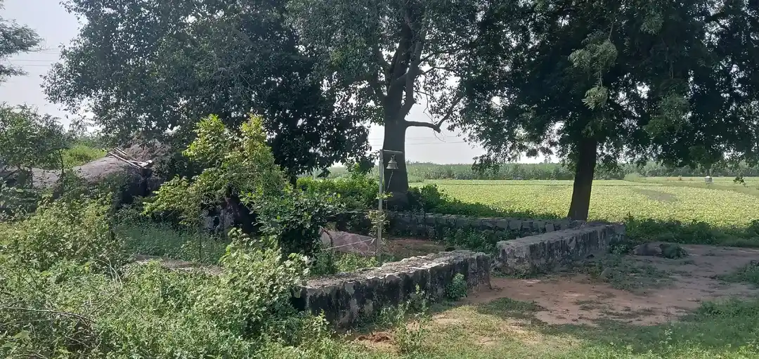 Arulmigu Pidari Temple, Siththaathur - 605701 அருள்மிகு பிடாரி திருக்கோயில், Siththaathur - 605701, Kallakurichi - Ancient Temple Architecture and History Image 4