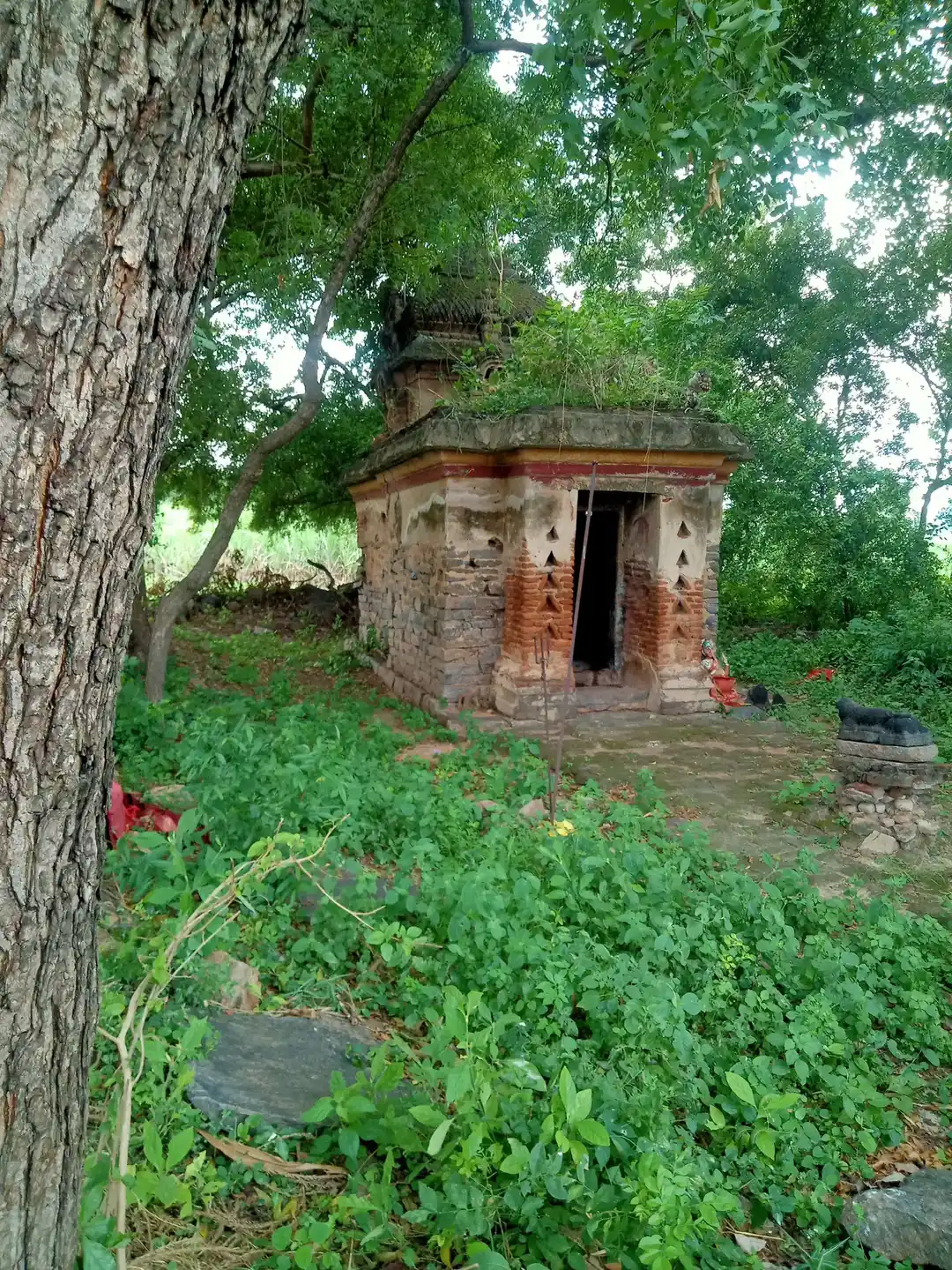 Arulmigu Pidari Temple, Siththeripattu - 605802 அருள்மிகு பிடாரி திருக்கோயில், Siththeripattu - 605802, Kallakurichi - Ancient Temple Architecture and History Image 3