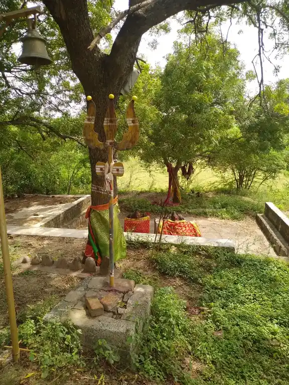 Arulmigu Pidari Temple, Sitthappattinam - 605754 அருள்மிகு பிடாரி திருக்கோயில், Sitthappattinam - 605754, Kallakurichi - Ancient Temple Architecture and History Image 3