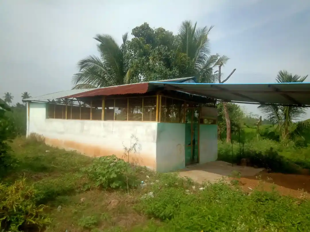 Arulmigu Pidari Temple, Sozhampattu - 606203 அருள்மிகு பிடாரி திருக்கோயில், Sozhampattu - 606203, Kallakurichi - Ancient Temple Architecture and History Image 3