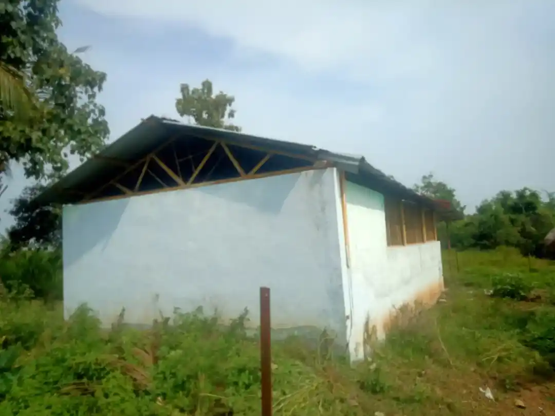 Arulmigu Pidari Temple, Sozhampattu - 606203 அருள்மிகு பிடாரி திருக்கோயில், Sozhampattu - 606203, Kallakurichi - Ancient Temple Architecture and History Image 4