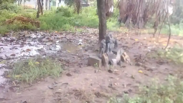 Arulmigu Pidari Temple, T.V.Puthur - 606110 Arulmigu Pidari Temple, T.V.Puthur - 606110, Cuddalore - Ancient Temple Architecture and History Image 2