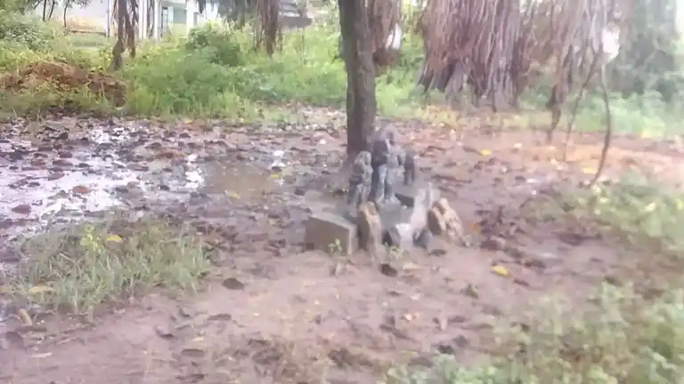 Arulmigu Pidari Temple, T.V.Puthur - 606110 Arulmigu Pidari Temple, T.V.Puthur - 606110, Cuddalore - Ancient Temple Architecture and History Image 3