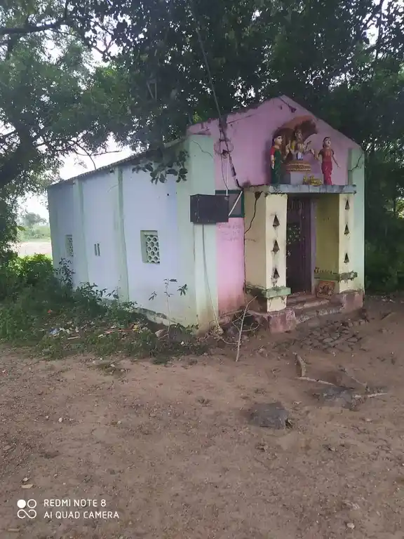 Arulmigu Pidari Temple, Thavaadippattu - 606207 அருள்மிகு பிடாரி திருக்கோயில், Thavaadippattu - 606207, Kallakurichi - Ancient Temple Architecture and History Image 3