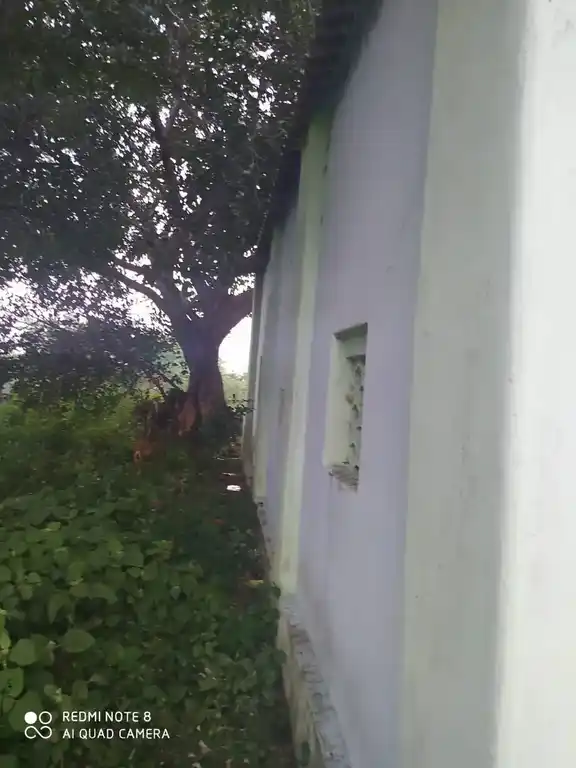 Arulmigu Pidari Temple, Thavaadippattu - 606207 அருள்மிகு பிடாரி திருக்கோயில், Thavaadippattu - 606207, Kallakurichi - Ancient Temple Architecture and History Image 4