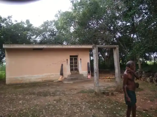 Arulmigu Pidari Temple, Thengiyaanaththam - 606201 அருள்மிகு பிடாரி திருக்கோயில், Thengiyaanaththam - 606201, Kallakurichi - Ancient Temple Architecture and History Image 5