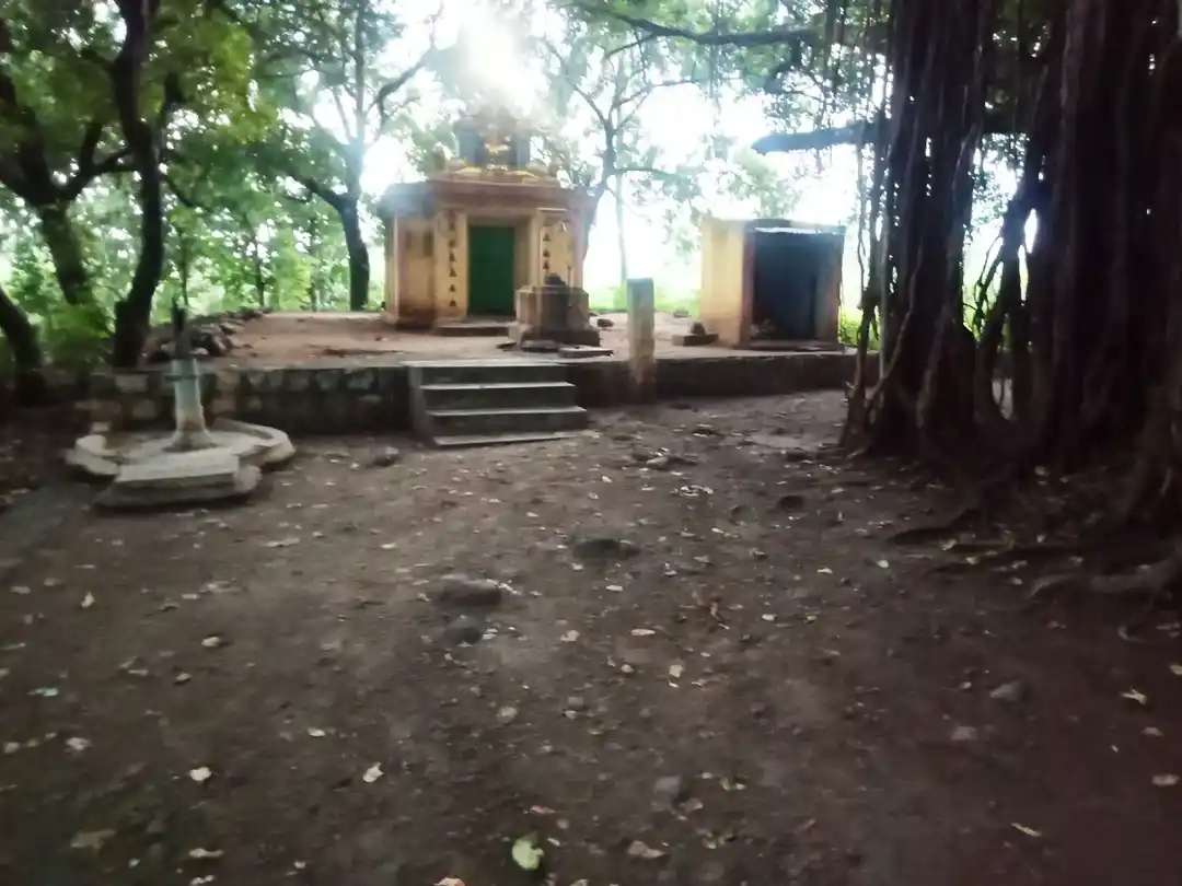 Arulmigu Pidari Temple, Thenkeeranur - 606213