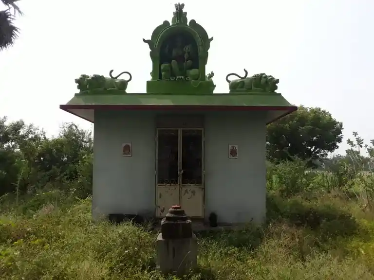Arulmigu Pidari Temple, Thenthorasalur - 606204 Arulmigu Pidari Temple, Thenthorasalur - 606204, Kallakurichi - Ancient Temple Architecture and History Image 4