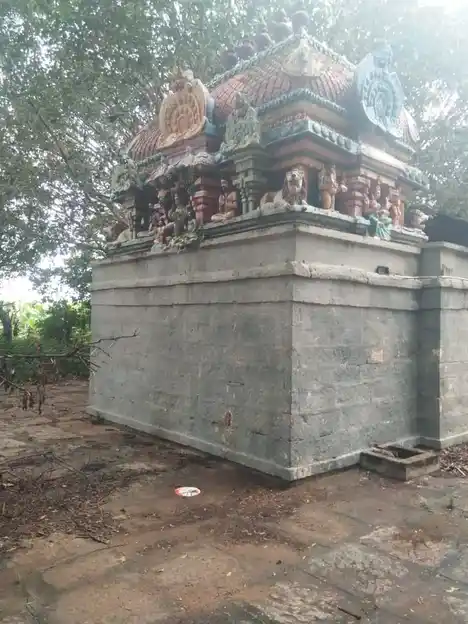 Arulmigu Pidari Temple, Thiruvalarsolai - 620005 Temple