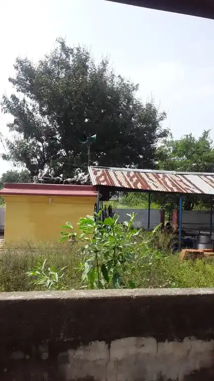 Arulmigu Pidari Temple, Vadadhorasalur - 606206 அருள்மிகு பிடாரி திருக்கோயில், Vadadhorasalur - 606206, Kallakurichi - Ancient Temple Architecture and History Image 4