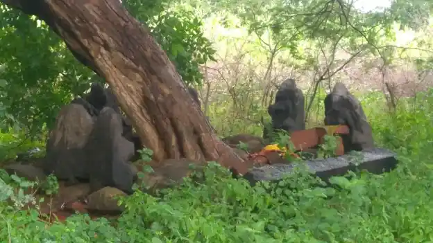 Arulmigu Pidari Temple, Veppankuzhi - 621653 Arulmigu Pidari Temple,  - 621653, Ariyalur - Ancient Temple Architecture and History Image 3